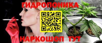 крисы Волжск