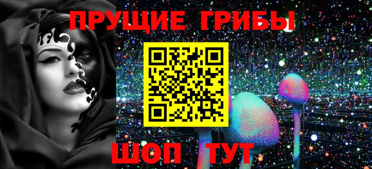 Псилоцибиновые грибы Psilocybe  Вход с VPN  где найти   Снежинск  Псилоцибиновые грибы Psilocybe 